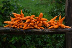 Cum să faci supă cremă de morcovi