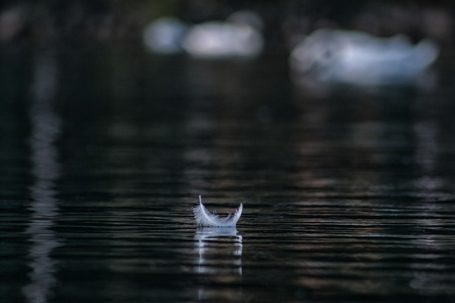 Photo silence