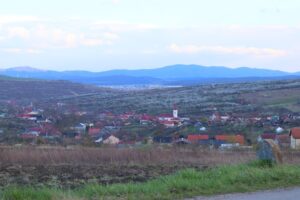 De ce am renunțat la grabă