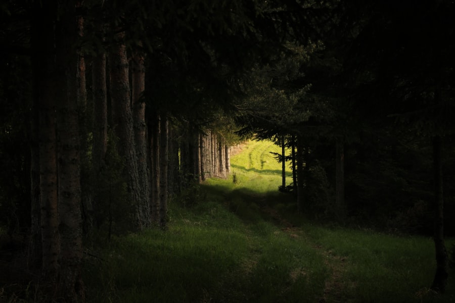 Photo inner peace